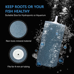 VIVOSUN air stone dense fine bubbles in fish tank setup.