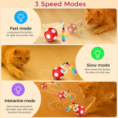 VIWIK interactive cat toy fast mode blue light boosts quick bursts of energy on rugs