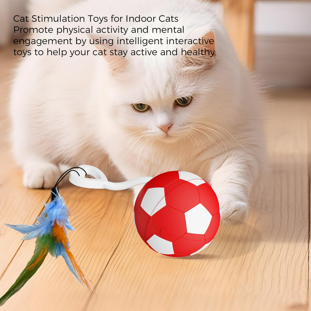 VIWIK interactive cat toy USB recharge enables extended play with simple charging