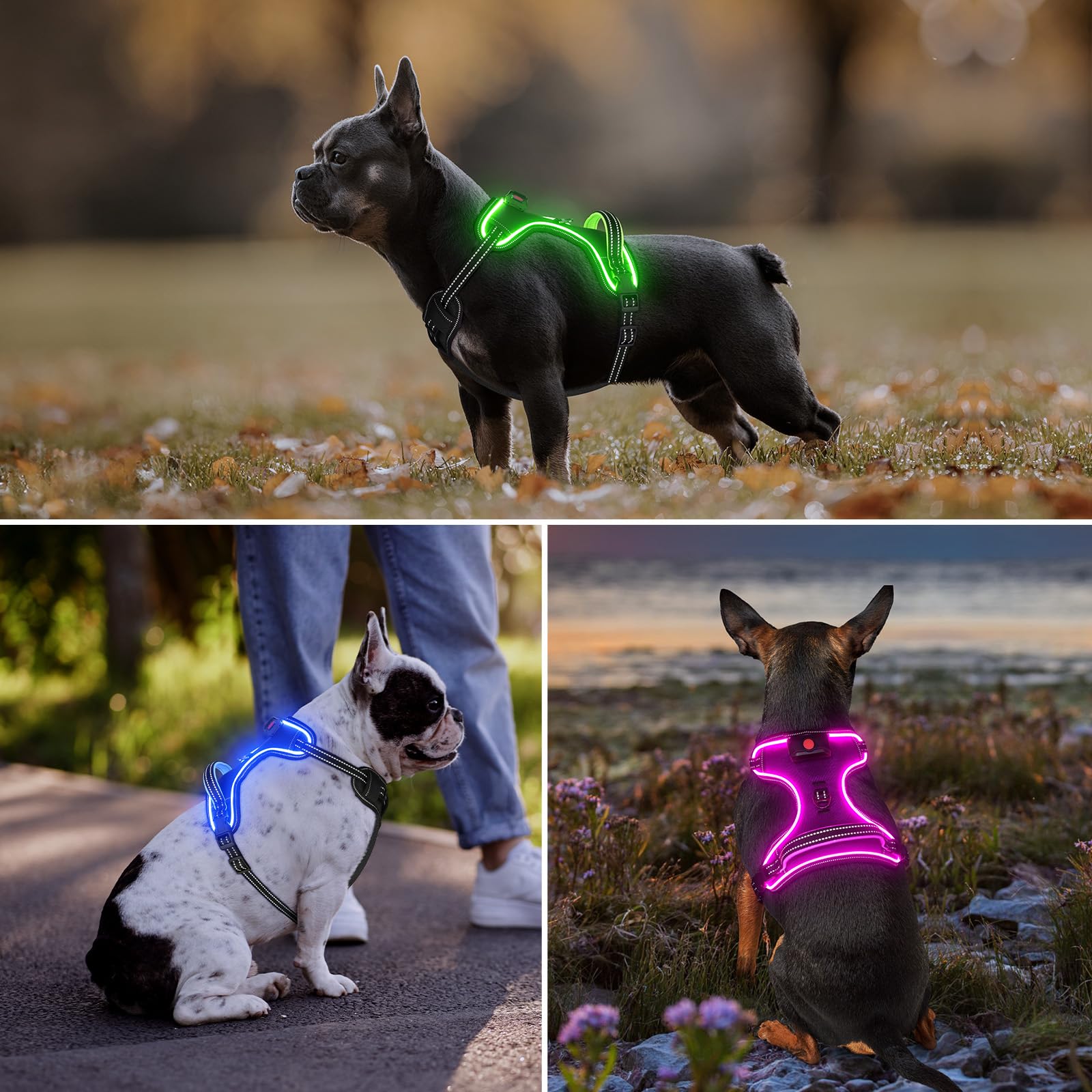 Vizbrite dog harness size chart helps you pick the right fit for your dog.