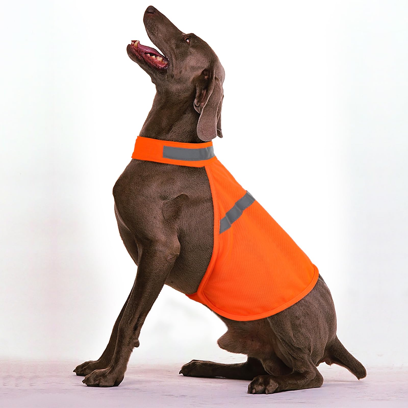 Vizbrite dog jacket adjustable sizes for various breeds