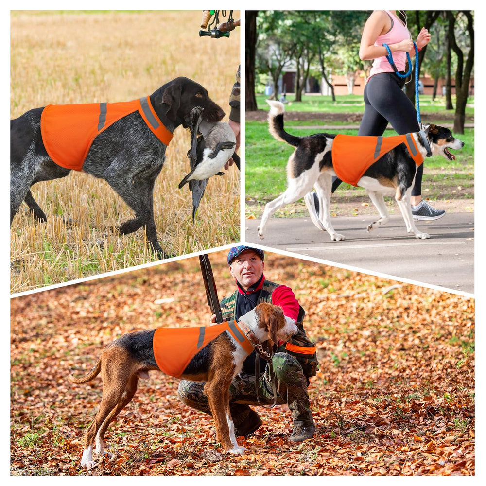 Vizbrite dog jacket outdoor walk demonstrates visibility and comfort on trails.