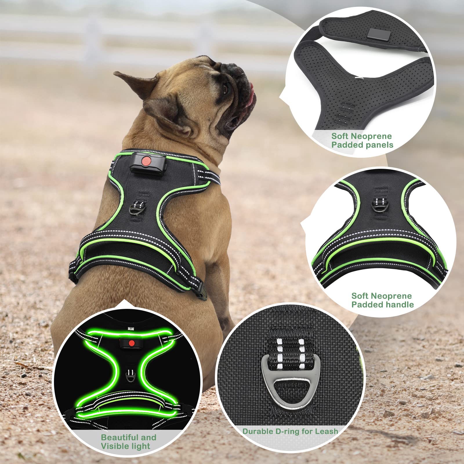 Vizbrite LED dog harness boosts night visibility for drivers and pedestrians.