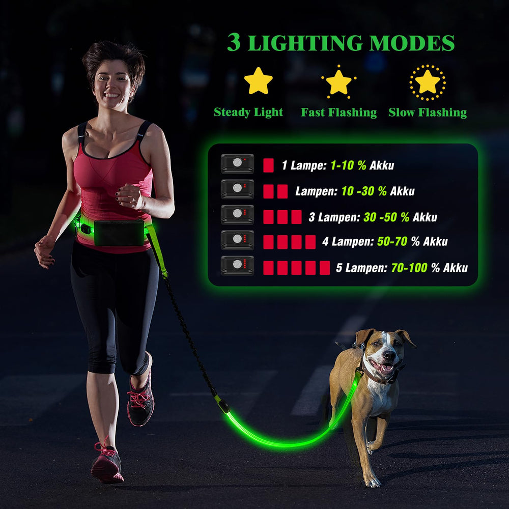 Vizbrite LED waist and leash lights boost night visibility for safer walking.