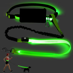 Vizbrite LED hands-free leash with waist belt for safer night walks.