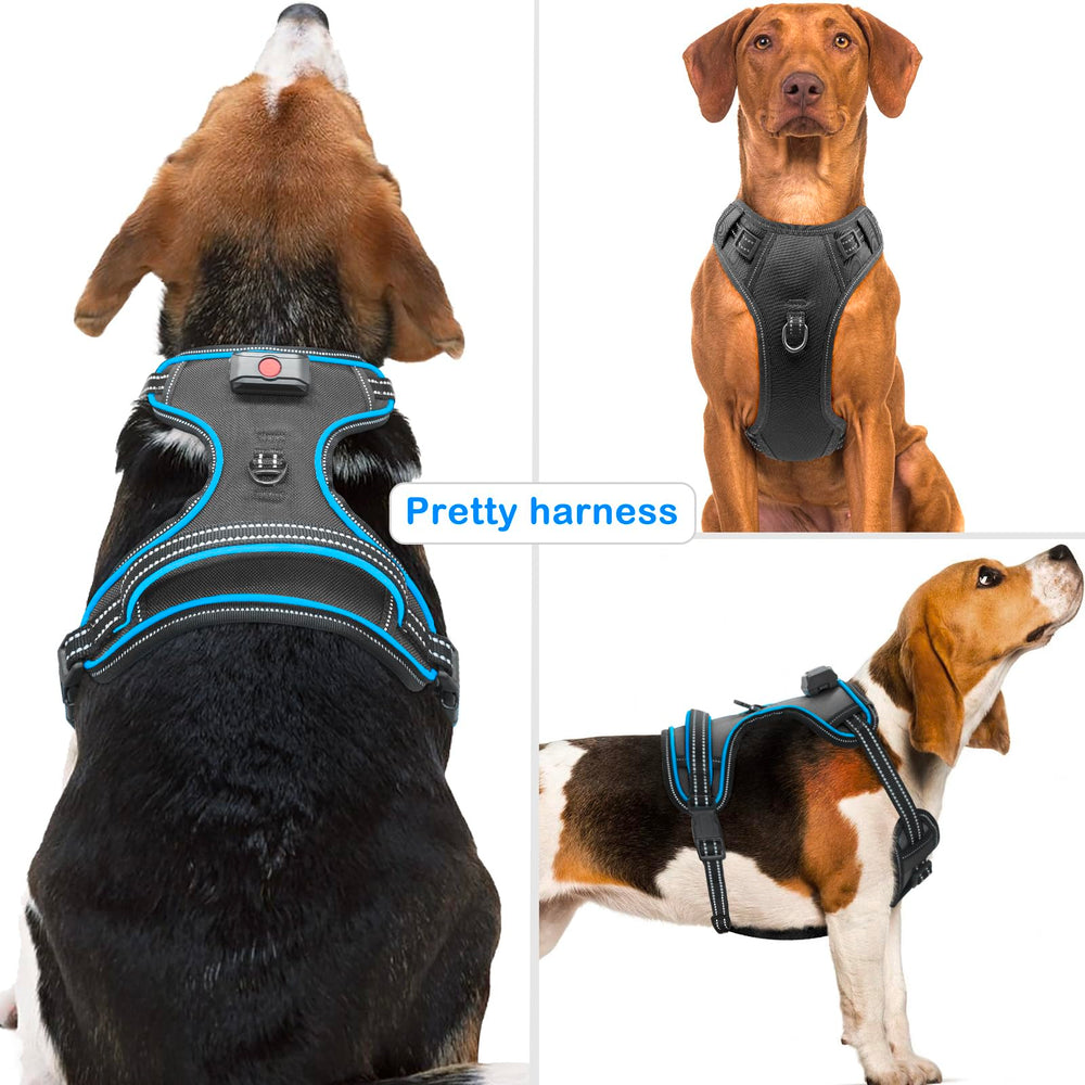 Vizbrite light-up dog harness back handle provides secure control on nighttime strolls.
