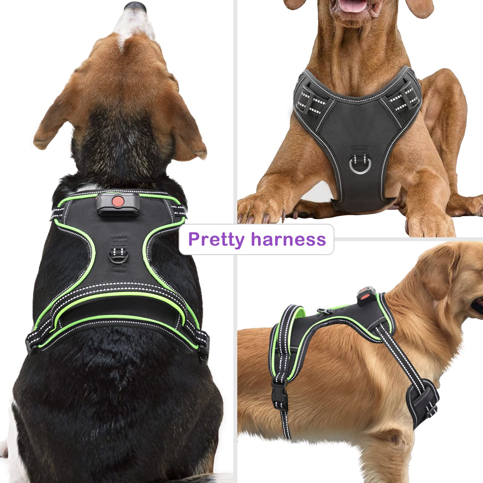 Vizbrite Light Up Dog Harness back handle provides easy grip for controlled social walks.