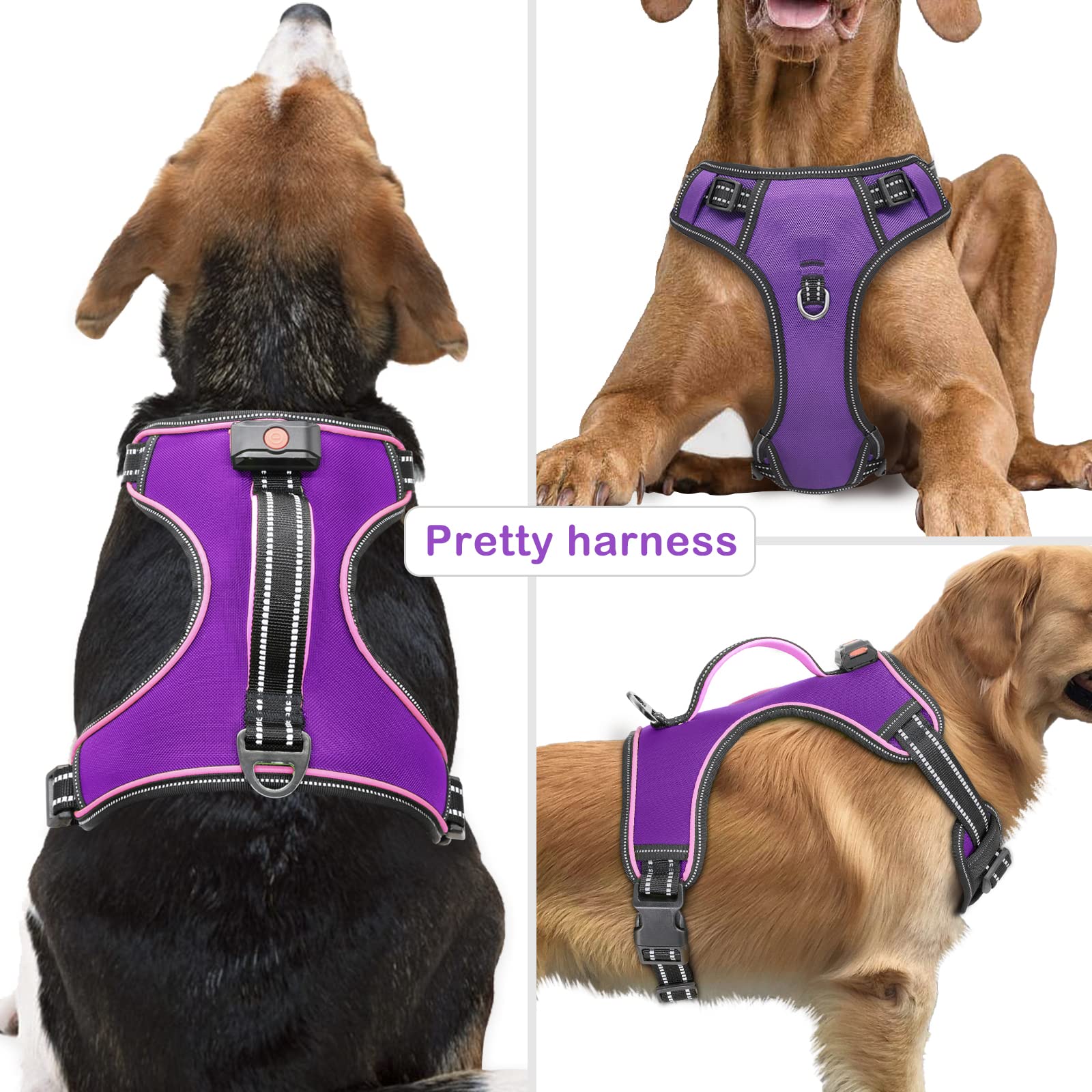 Vizbrite Light Up Dog Harness front clip showing no-pull training potential during walks