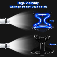 Vizbrite light-up dog harness front clip helps redirect pulls for calmer walks.