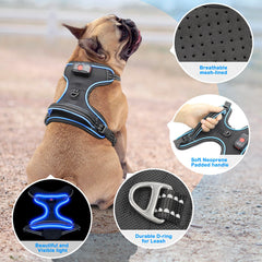 Vizbrite light-up dog harness LED visibility keeps your dog seen in low light.