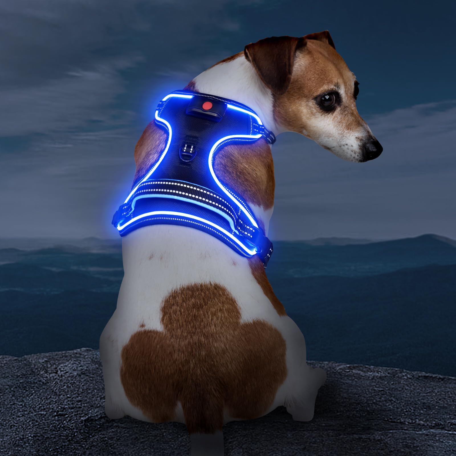 Vizbrite light-up dog harness strap padding for comfortable, breathable fit during evening walks.