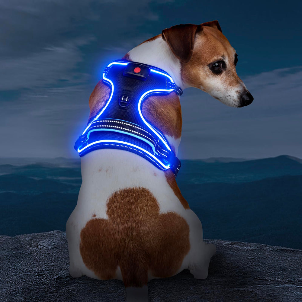 Vizbrite light-up dog harness strap padding for comfortable, breathable fit during evening walks.