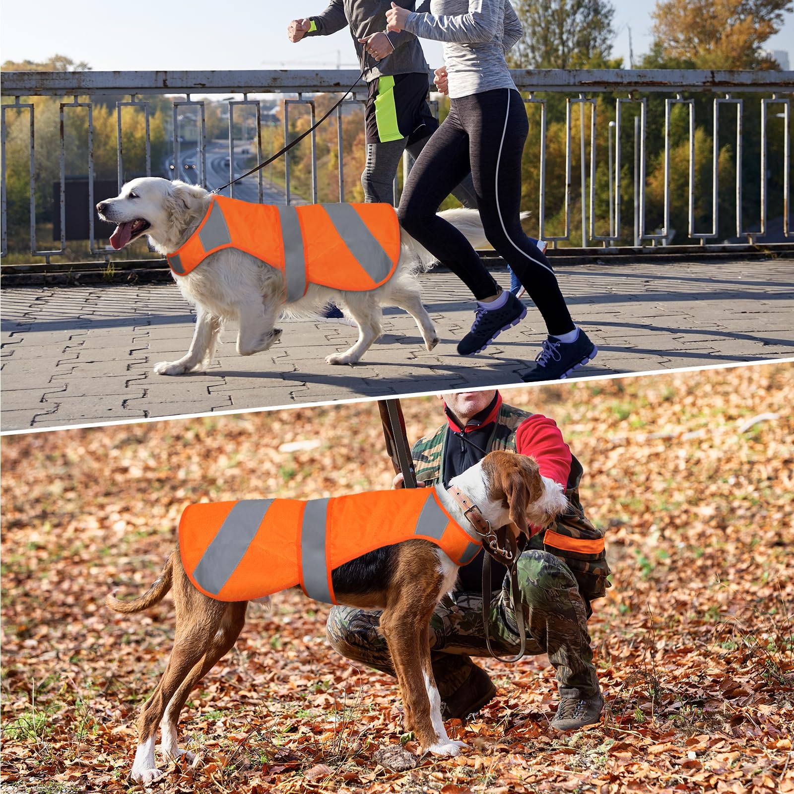 Vizbrite foldable design for easy packing in car