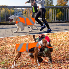 Vizbrite foldable design for easy packing in car