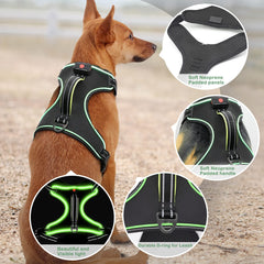 Vizbrite neoprene padding reduces pressure and keeps your dog comfortable on long strolls