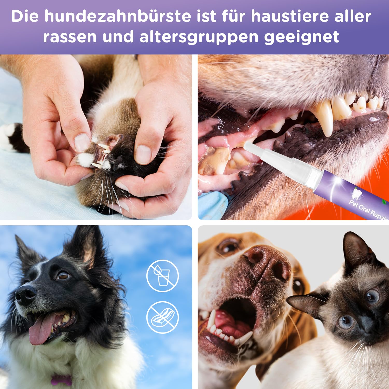 Vizela gel is portable and easy to use—no brushing needed