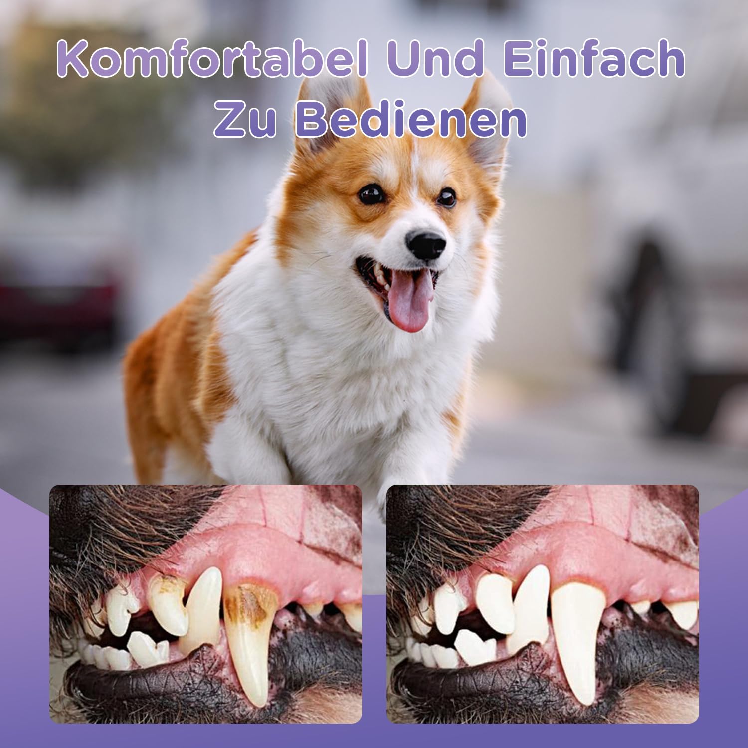 Vizela gel provides fresh breath for dogs and cats