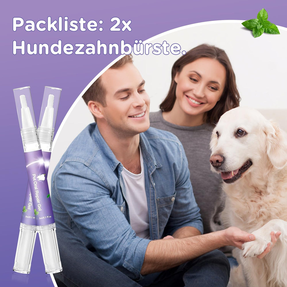 Vizela gel supports gum health during routine pet dental care