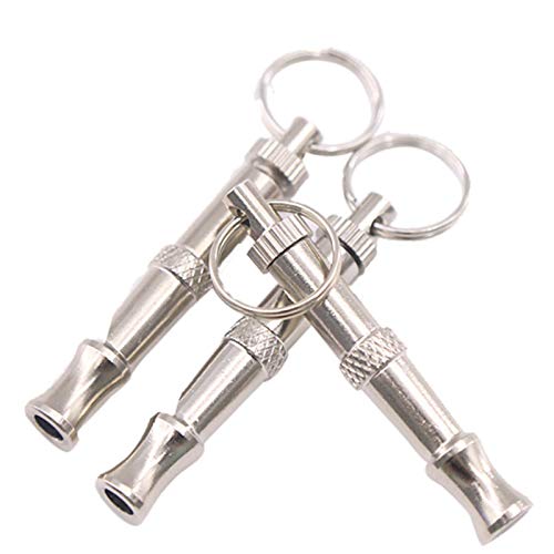 VizGiz pack on keyring showing portable training tool for on-the-go sessions