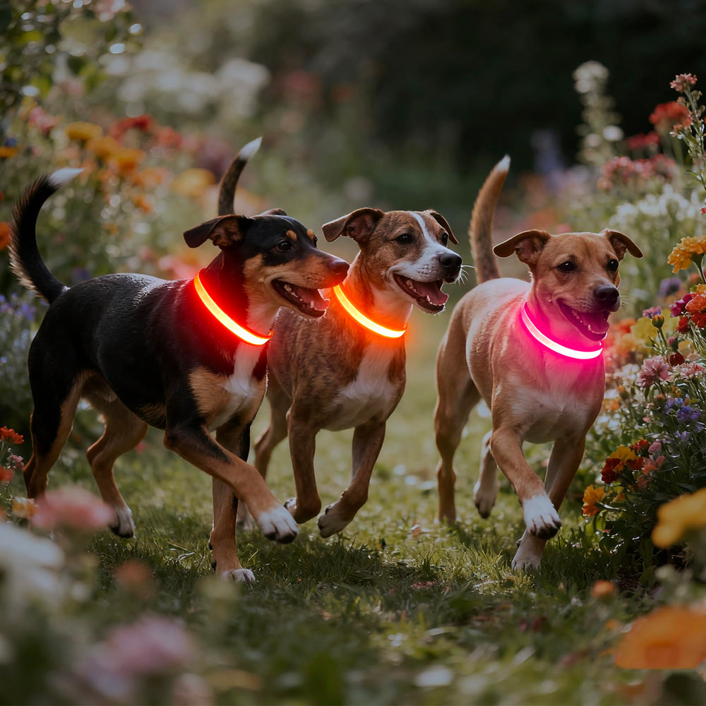 Vizpet collar LED recargable USB se recarga en dos horas para uso prolongado.