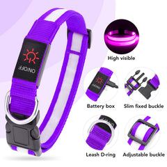 Collar LED VIZPET recargable por USB para mayor autonomía.