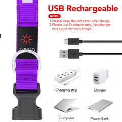 Collar VIZPET con 3 modos de luz para diferentes situaciones.