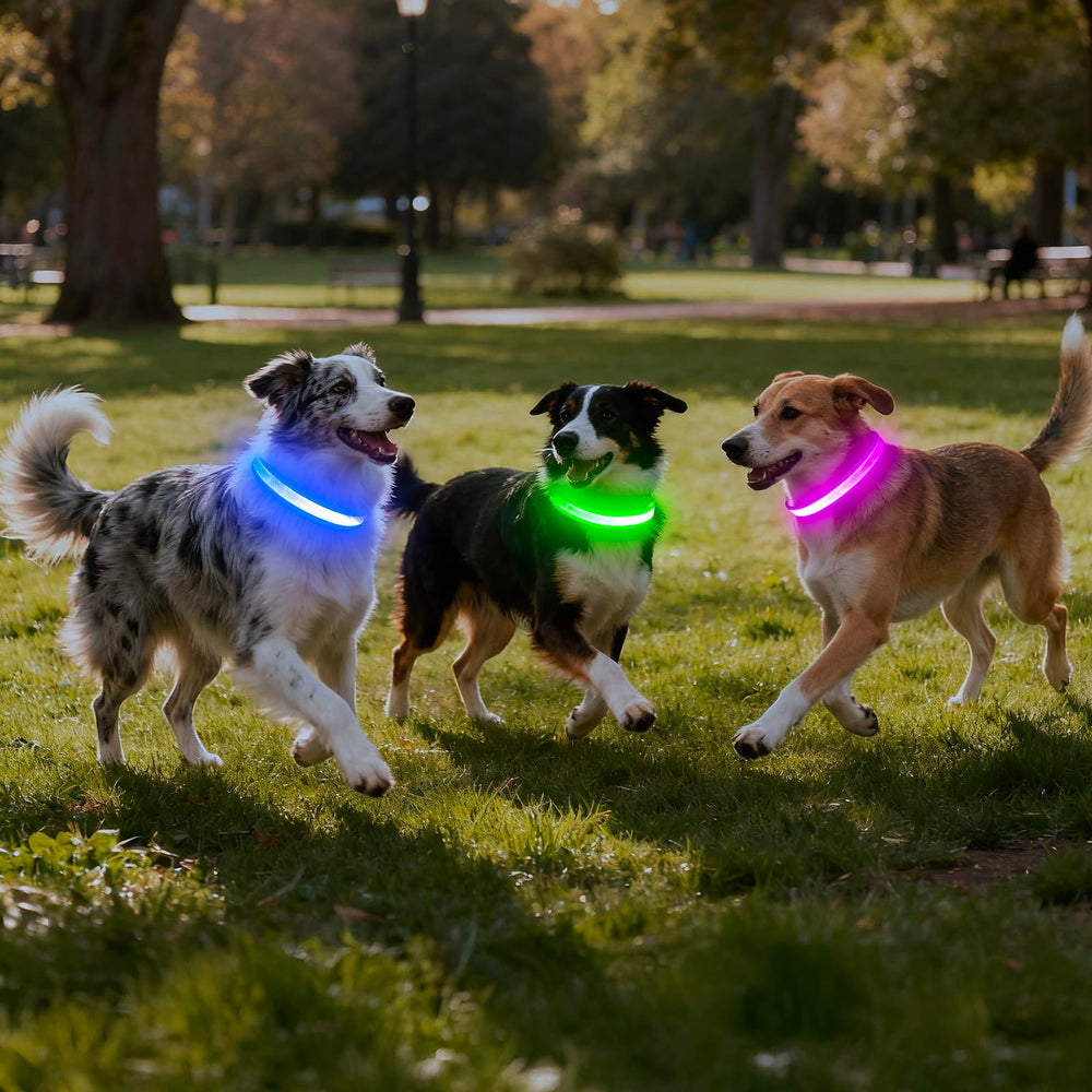 VIZPET LED dog collar d-ring-attachment for reliable leash connection.