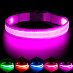 VIZPET LED dog collar purple strap with soft padding for comfy daily walks.