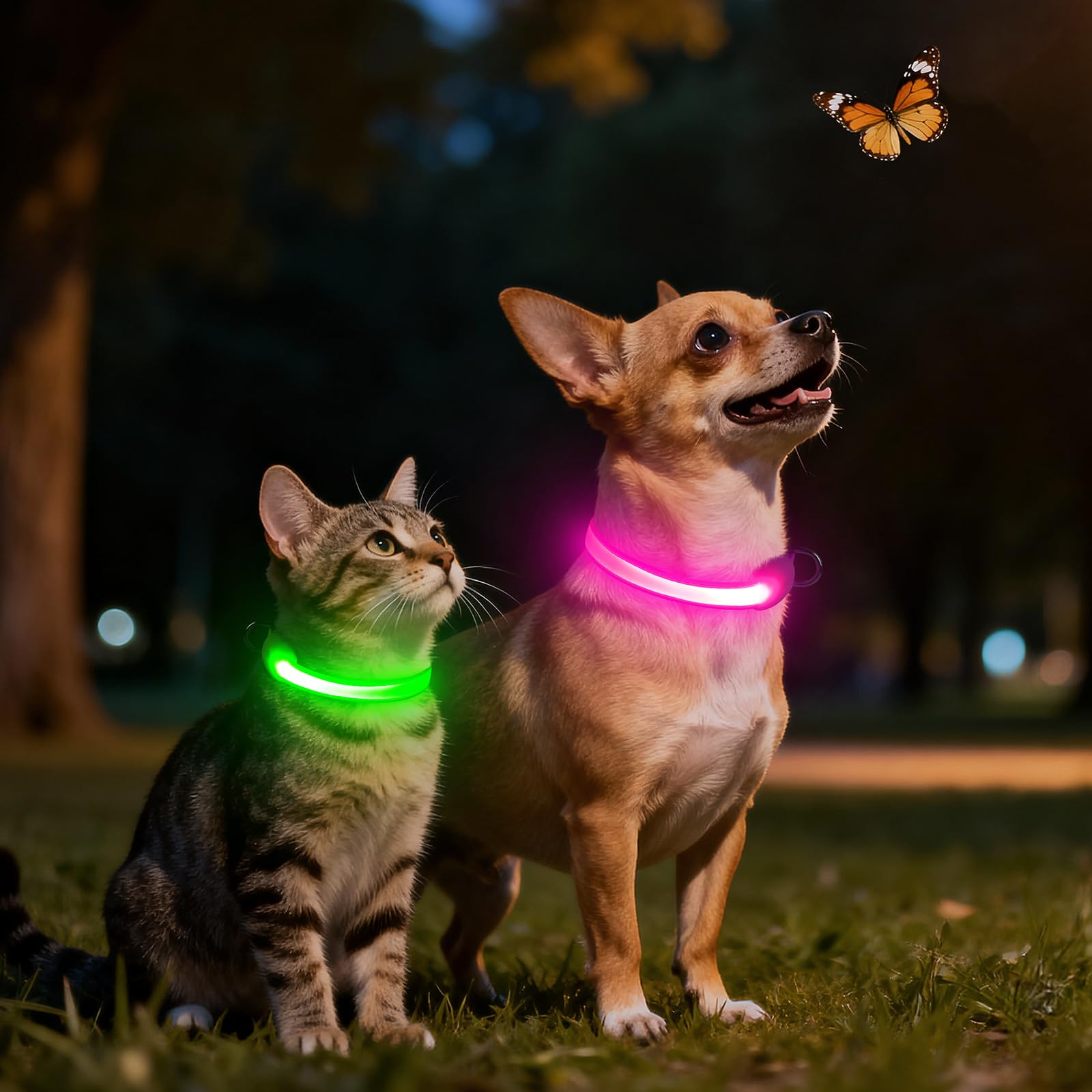 Vizpet light-up collar shown on a night walk scene for safety.