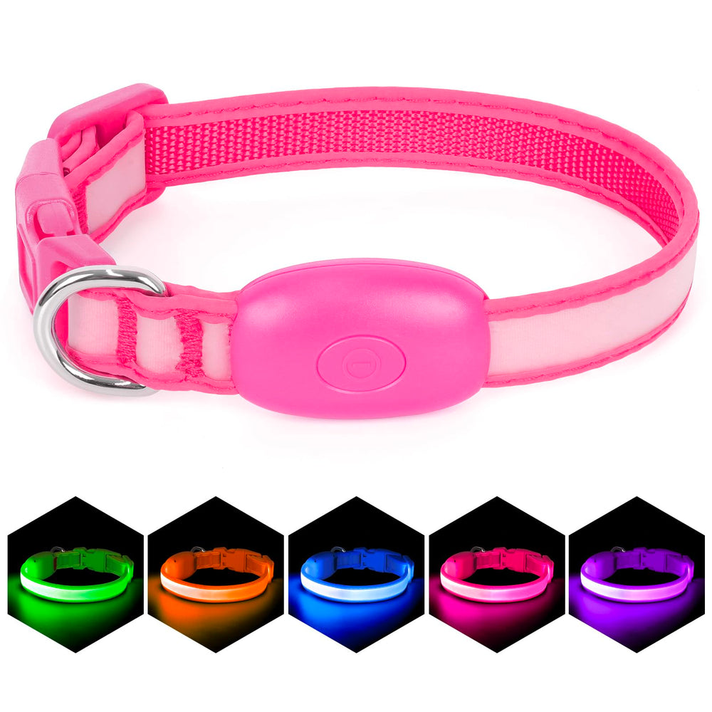 Vizpet collar with leash attachment for a complete safety setup.
