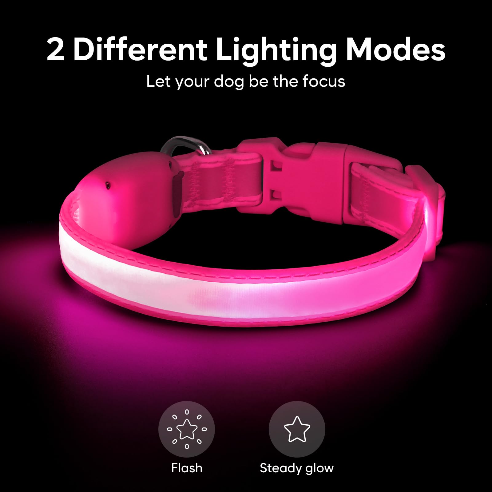 Vizpet XS adjustable neck, secure fit for small dogs during adventures.