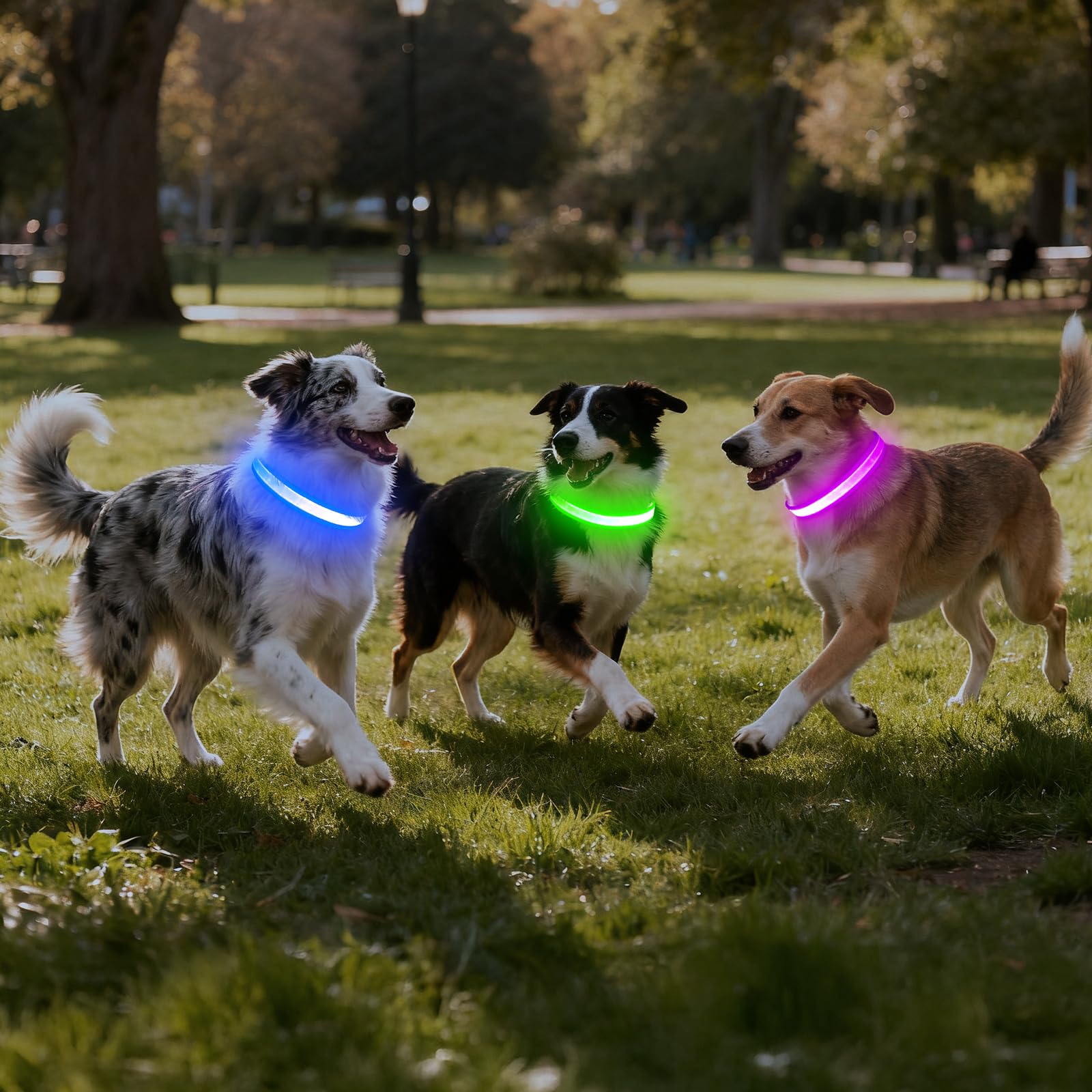 Vizpet soft-padding collar designed for comfortable all-day wear