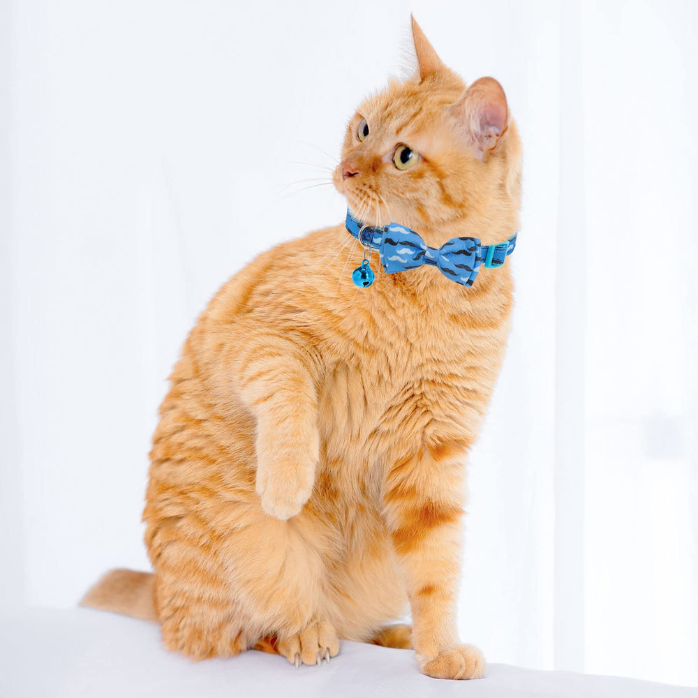 VKPETFR collar with bell helps locate your cat by sound.