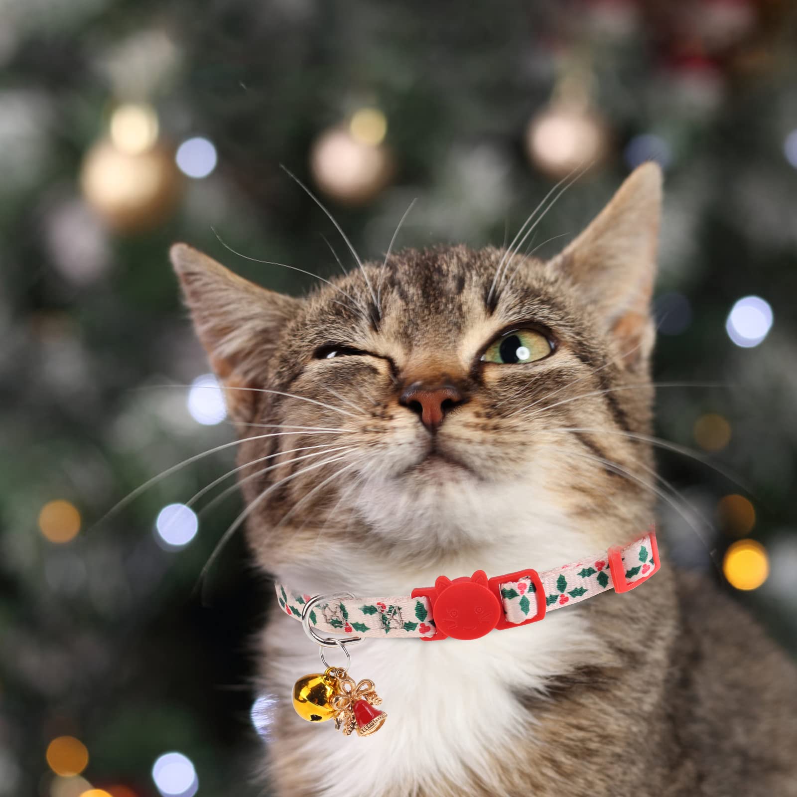 VKPETFR Cat collar with bells adds gentle chime for visibility and fun.