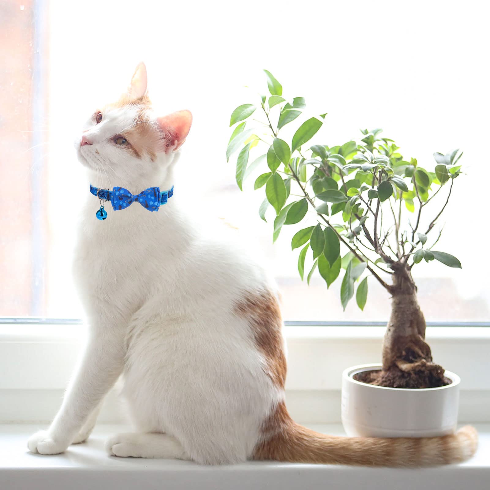 VKPETFR comfortable, secure fit supports daily wear indoors or outdoors.