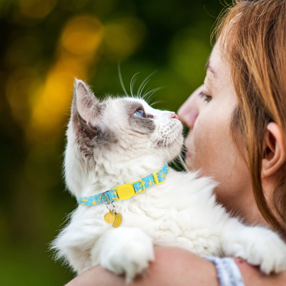VKPETFR fruit pattern collar design enhances style and pet personality.