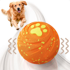 VNAKIO interactive ball rolling during fetch for hours of play