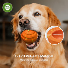 VNAKIO ball waterproof IPX7 ready for outdoor splashy play.