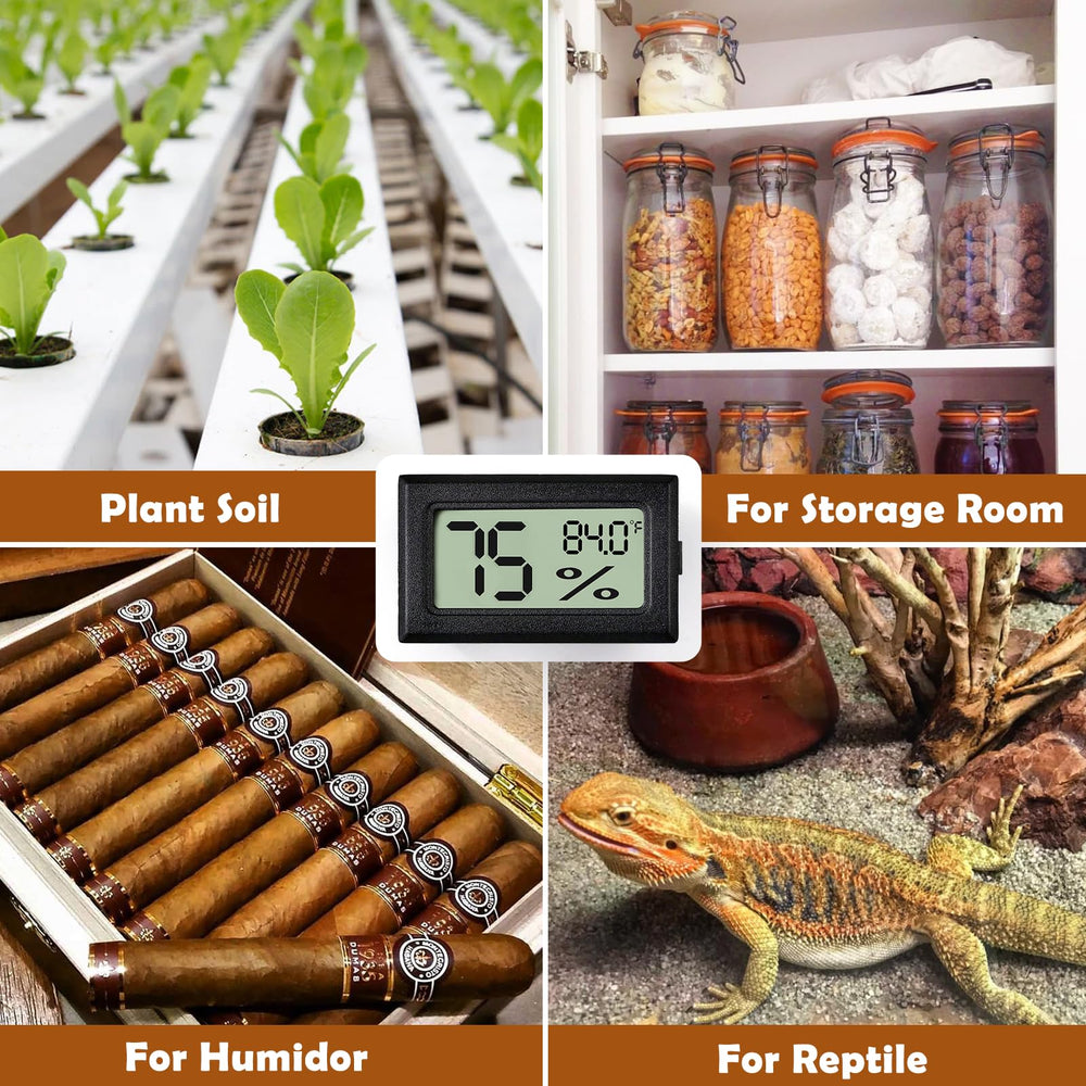 Vodolo cordless habitat monitoring setup helps maintain neat terrariums without cords.