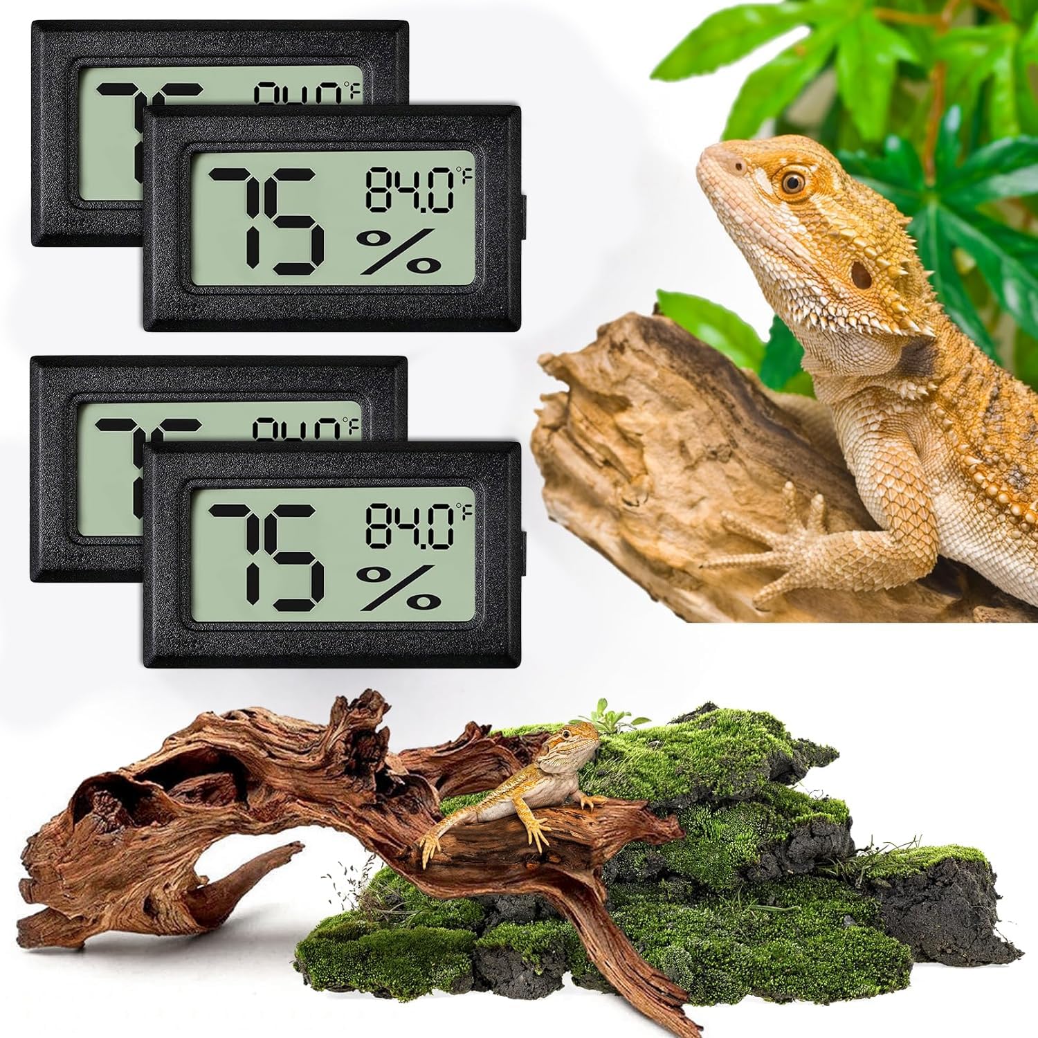 Vodolo reptile thermometer displays precise terrarium readings with 0.9°F accuracy.