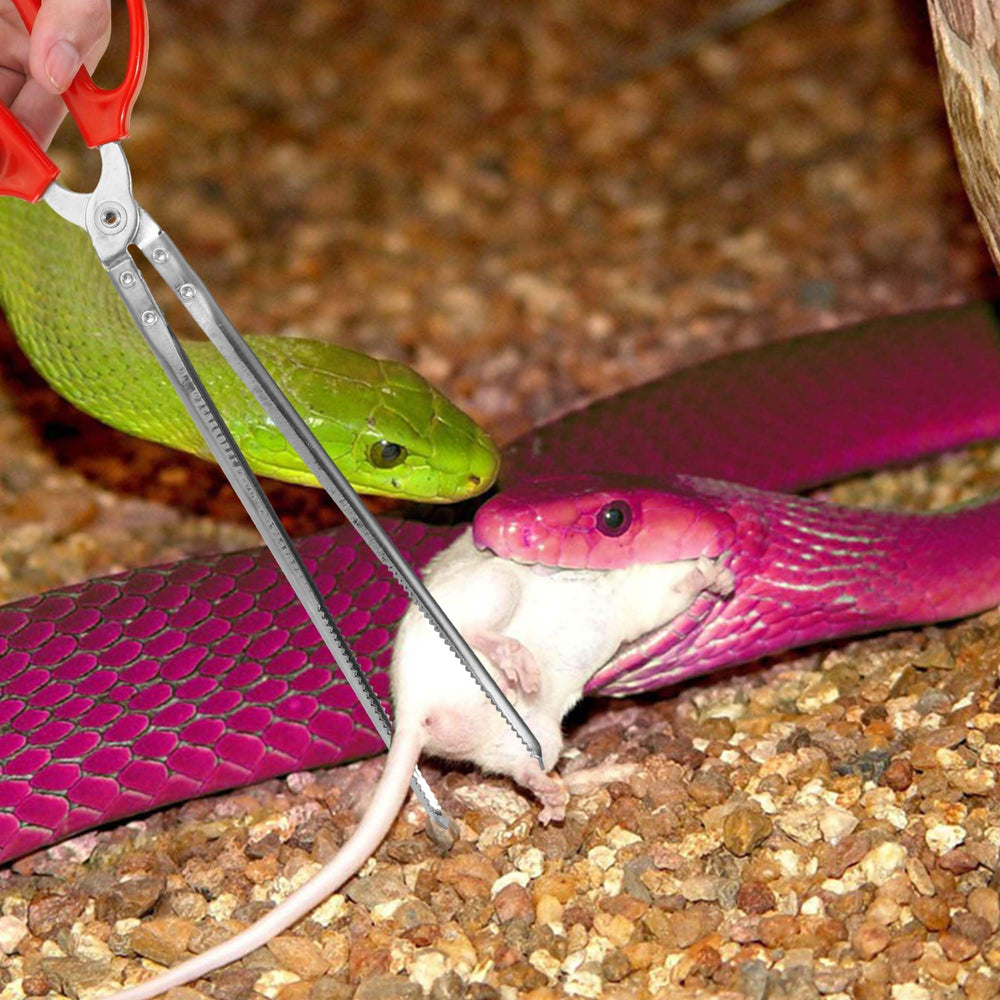 Vodolo snake feeding tongs ideal for terrarium setup and reptile care tasks