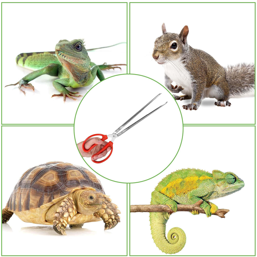 Vodolo snake feeding tongs stainless steel construction resists rust in terrariums