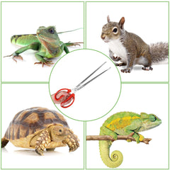 Vodolo snake feeding tongs stainless steel construction resists rust in terrariums