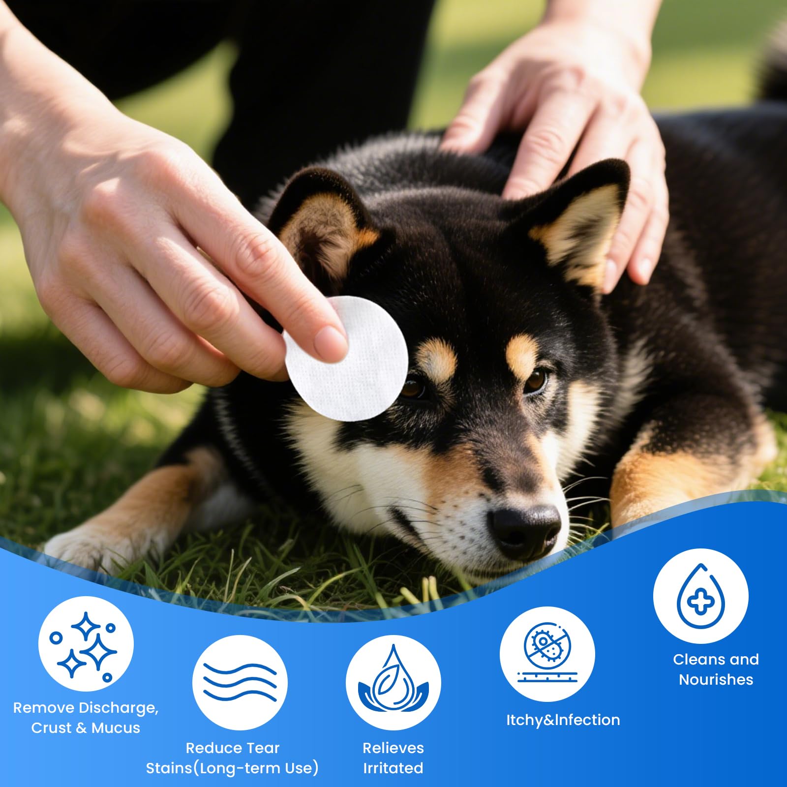 VOISEN wipes used on dogs and cats for tear stain care