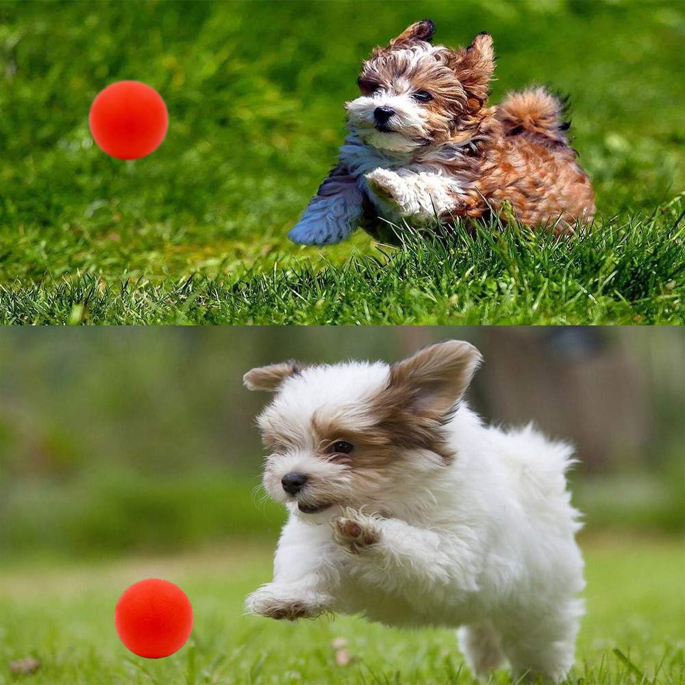 Volacopets small-breed-toy-pack showcases multiple play options for puppies.