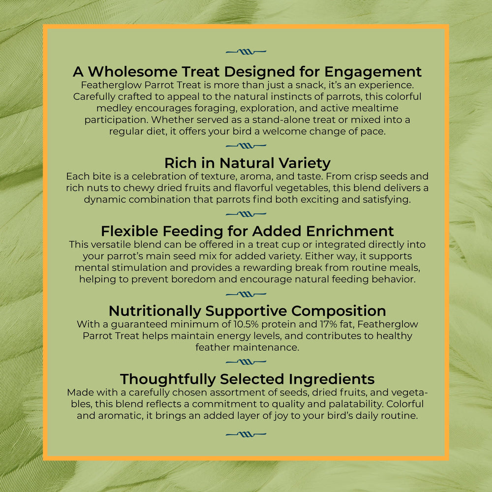 Volkman Seed Featherglow Parrot Treat parrot enjoying diverse textures and colors