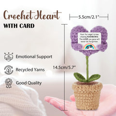 VLOMOT rainbow bridge keepsake displayed beside photos and urns for soothing memory.