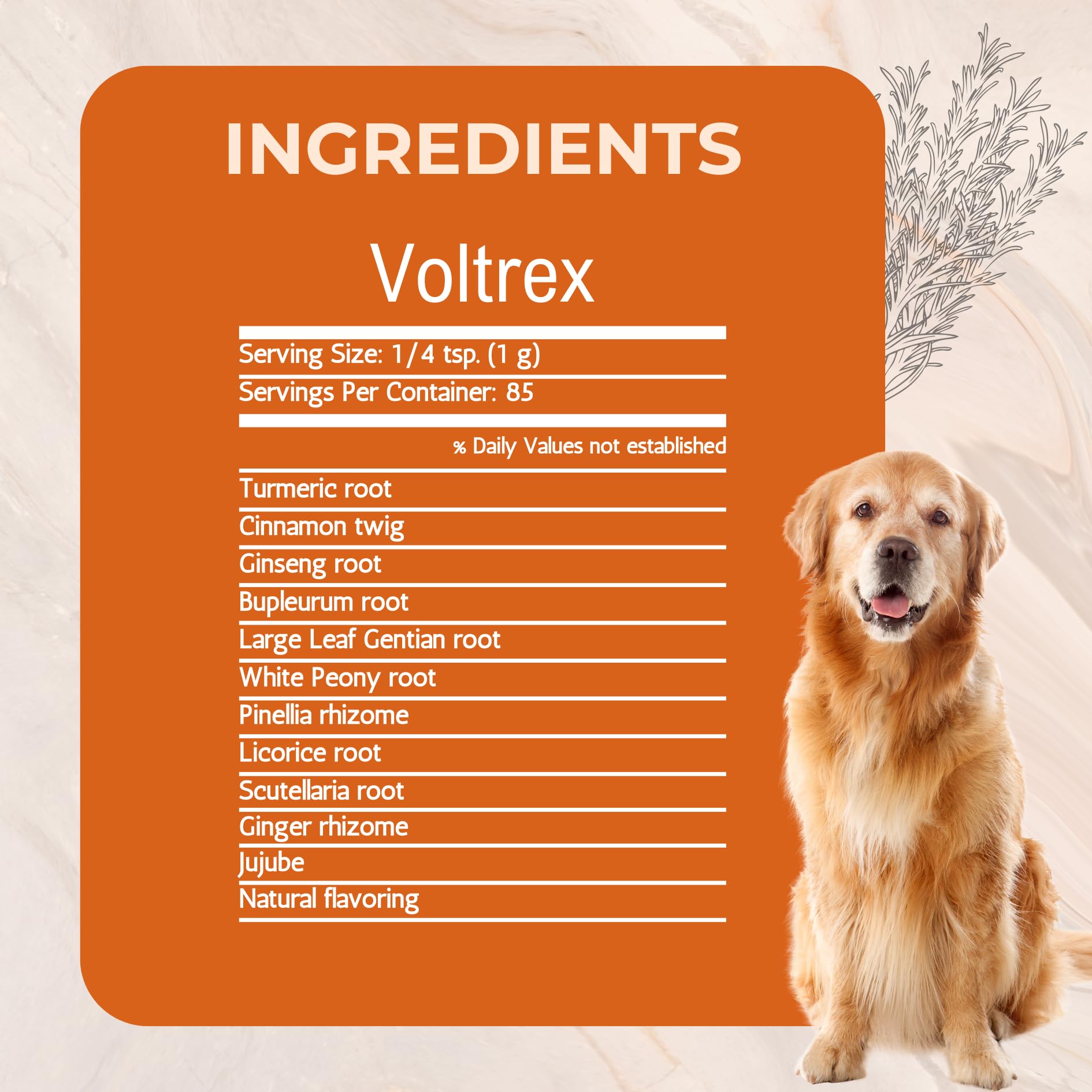 Voltrex powder texture close-up emphasizes organically grown herbs.