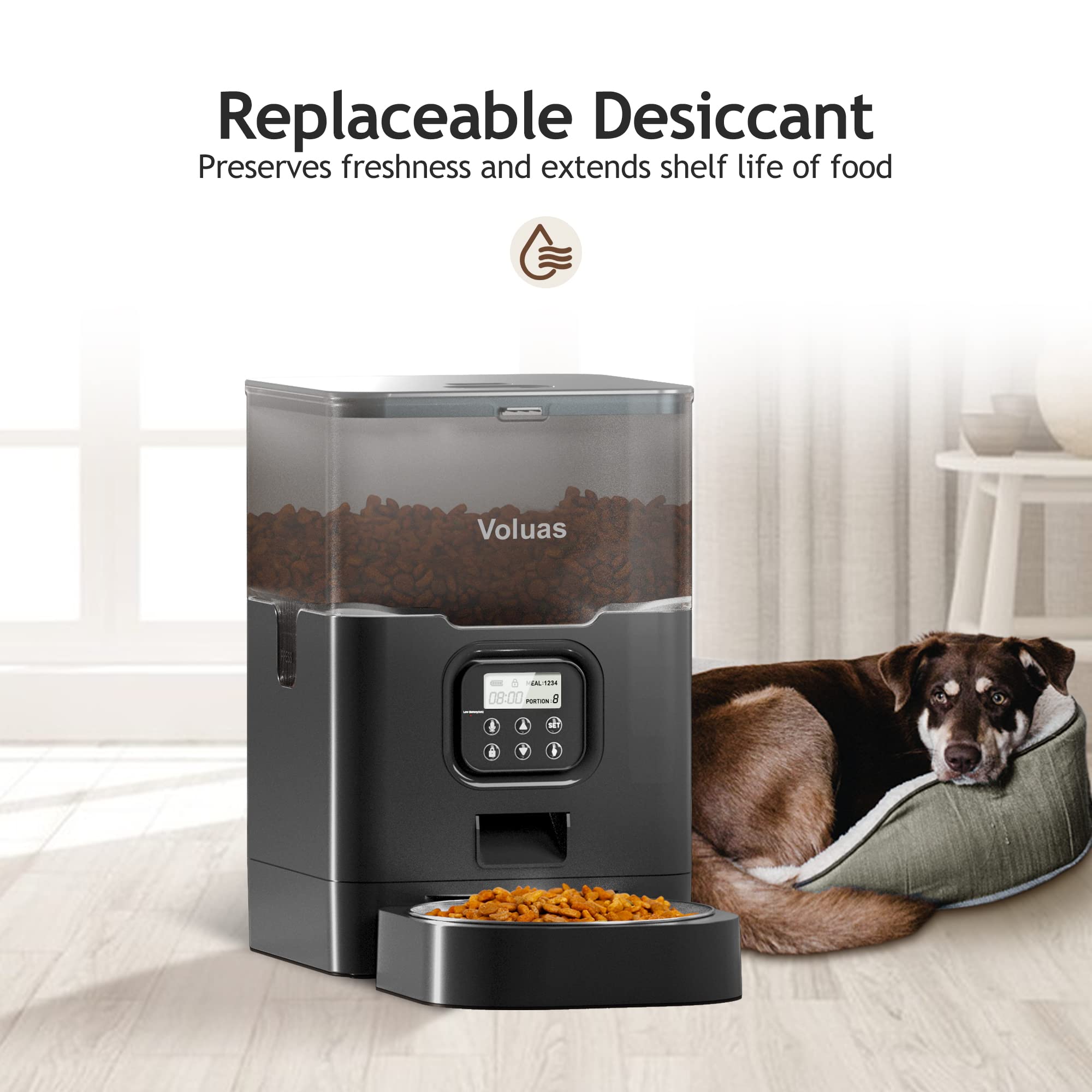 Voluas cat feeder dual-power supply for uninterrupted feeding