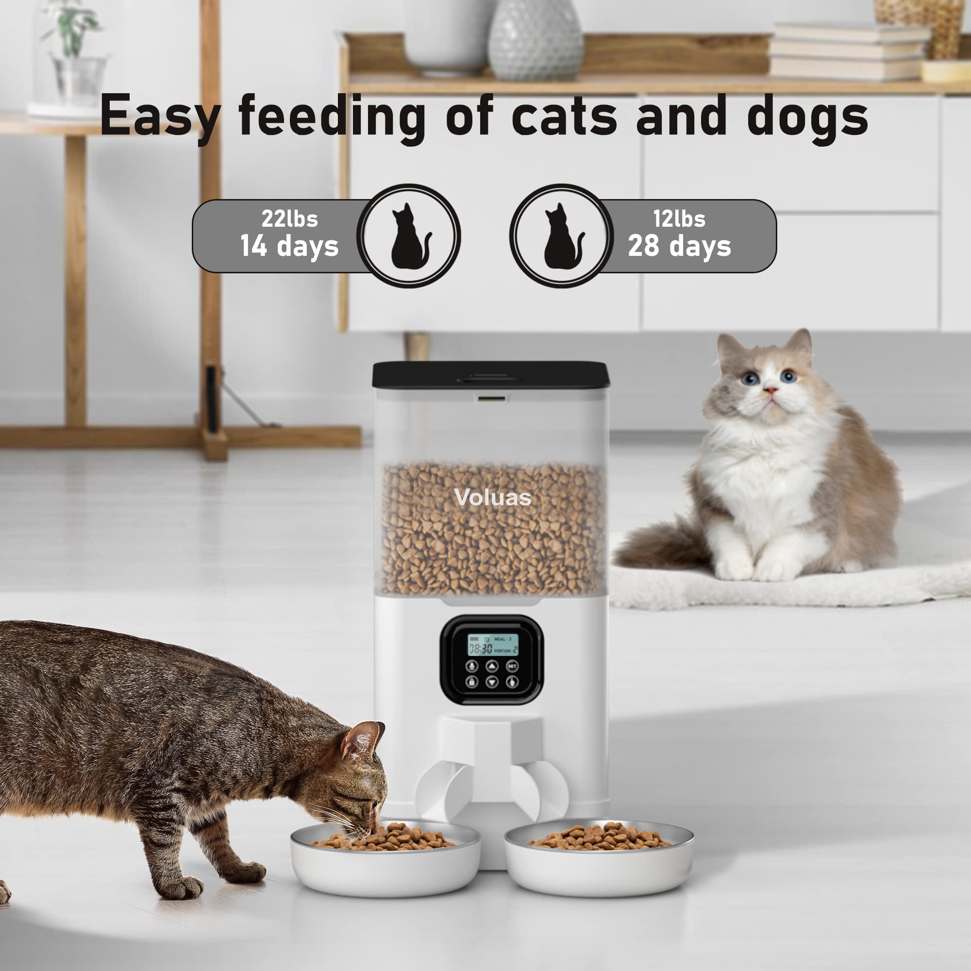 Voluas double cat feeder meal divider keeping portions balanced for two cats.